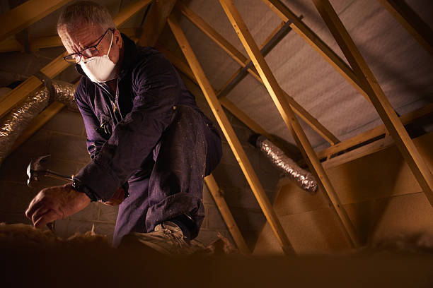 Professional Insulation Contractor in Cooper, TX