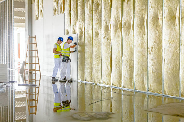 Best Residential Insulation in Cooper, TX